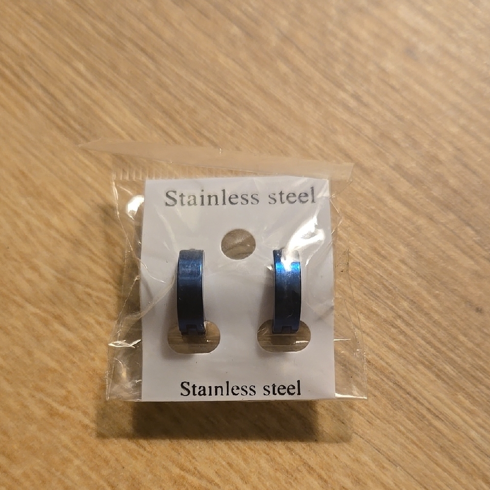 Stainless Steel Blue Earrings